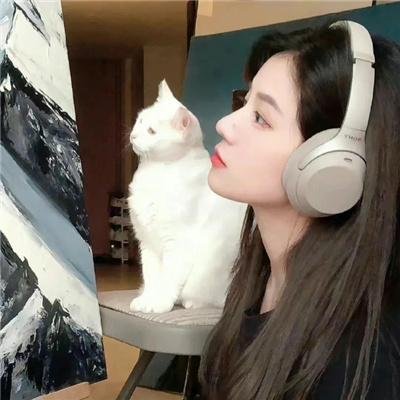 善地第一季